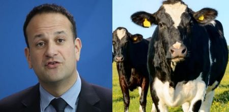 Leo Varadkar will be taking questions from the public tonight… while standing on a farm