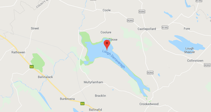 PIC: Garda Air Support photo of Lough Derravaragh, Westmeath, is breathtaking