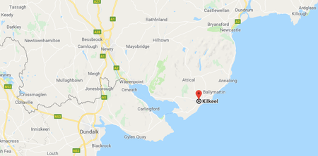 Alert raised over suspected ammonia leak in Co. Down (reports)