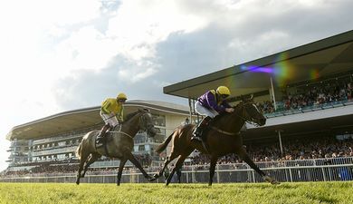 WIN: Halo and JOE are offering you a brilliant prize for the Galway Races