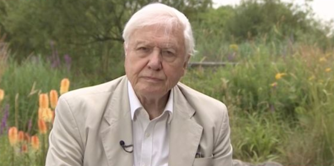 David Attenborough