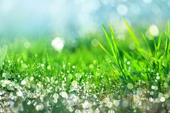 The weekend weather forecast isn’t perfect, but it will do