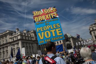 A majority of Britons now support a second Brexit referendum