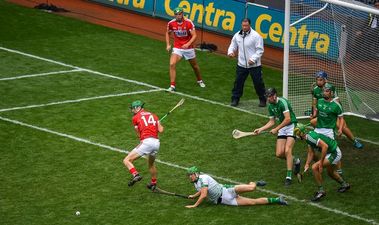 Limerick’s huge win all came down to one moment, and the internet loved it