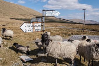 QUIZ: Name the counties where these Irish towns are located