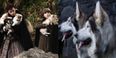 Dublin will have a Game of Thrones convention where you can meet the actual Direwolves from the show