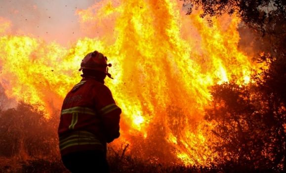 Portugal fires