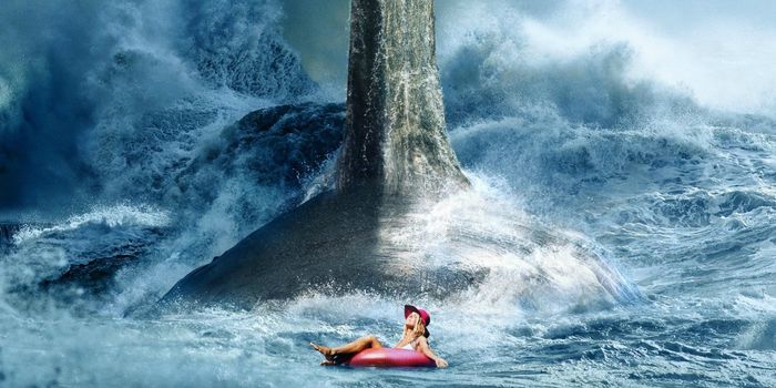 The Meg