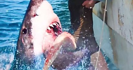 2019 will have its own killer shark movie, but it has already made one huge mistake