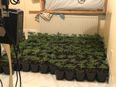 Drugs seized as grow house discovered in County Kerry