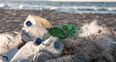 Irish MEP calls on the public to keep the country’s rivers and beaches clean in the fight against plastic