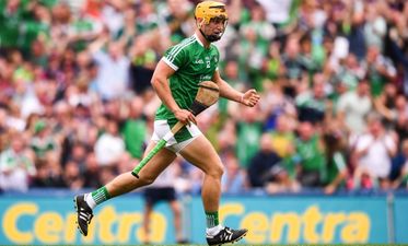 Limerick have won the All-Ireland Hurling Championship