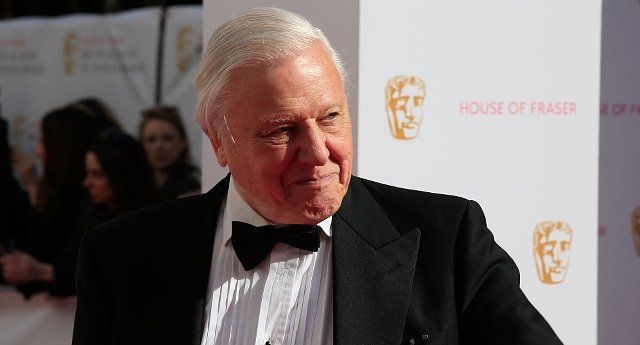 David Attenborough Dynasties BBC