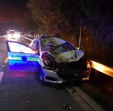 Gardaí hospitalised after patrol car collides with runaway horse in Limerick