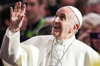 Dublin Zoo claim that Papal visit contributed to decline in visitors