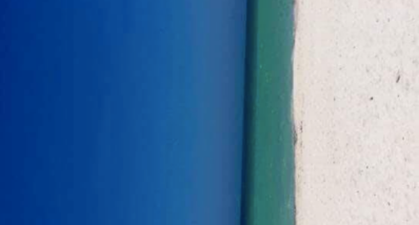 PICS: The internet is talking about this photo, and no one is sure of anything