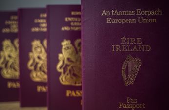 Number of Britons looking to obtain Irish passports in wake of Brexit increases tenfold