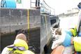 WATCH: Athlone snorkeler rescues kitten from lock chamber in River Shannon