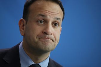 The Sun reporter takes aim at Leo Varadkar again