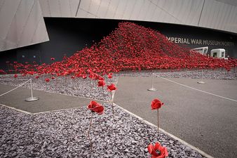 PIC: Fine Gael Senator urges Irish people to wear shamrock-poppy pin