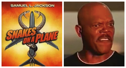 Somebody actually managed to smuggle 20 snakes onto a plane