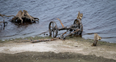 PICS: Retreating water in Wicklow lake reveals old house and farm machinery