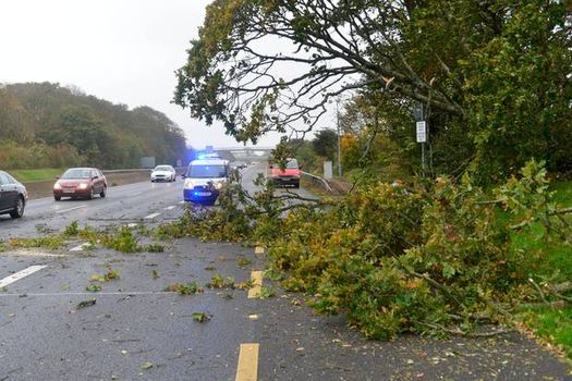 Fallen trees Storm Ali county breakdown