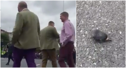 Man shouts abuse and throws dead pigeon’s head at protesters in Dublin
