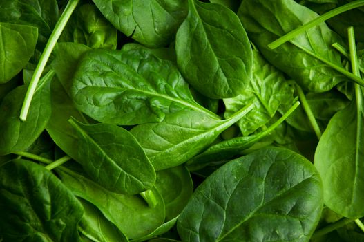 Spinach recall