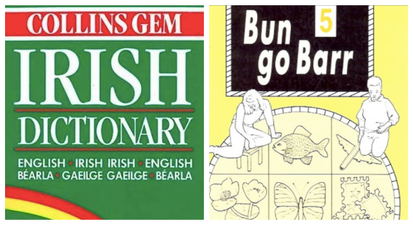 QUIZ: Can you guess what these Irish words mean in English?