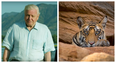 The first trailer for David Attenborough’s new nature show is spectacular