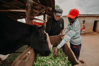 Kerry farmer donates his last dairy cow to Rwandan family and it has helped to change lives