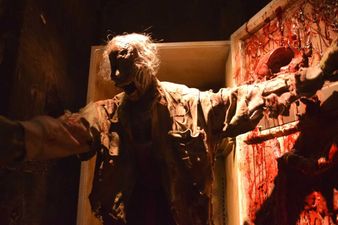 National Wax Museum have given their horror section a massive upgrade