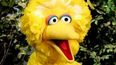 The man who played Big Bird for the past 50 years has retired