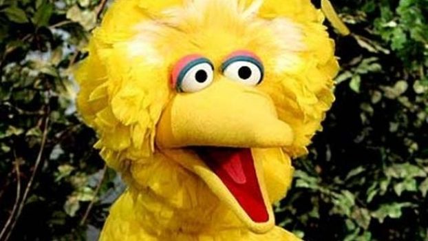 Big Bird