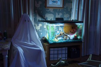 Halloween has just had the second-biggest opening weekend at the box office for any horror ever