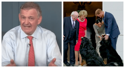 Peter Casey posts and quickly deletes video criticising President Higgins and his dogs