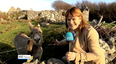 We absolutely love Teresa Mannion’s news report on viral singing donkey in Galway