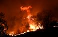 At least nine dead in California wildfire, celebrities forced to flee their homes