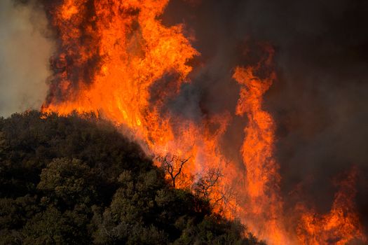 Woolsey Fire