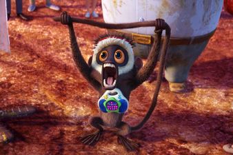 In conversation with the creators of the funniest movie character of recent times, Steve The Monkey