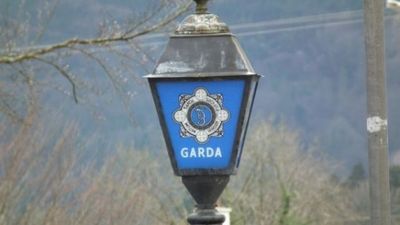 23-year-old female arrested in relation to fatal shooting in South Dublin
