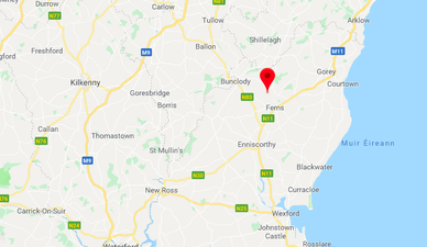 Gardaí issue update after discovery of skeletal remains in Wexford