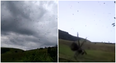 WATCH: Prepare to be terrified because it’s actually raining spiders
