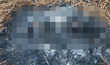Investigation underway after dog set on fire in Cork