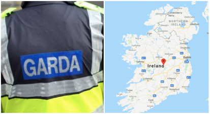 Hundreds of Gardaí to patrol the border in the event of a no-deal Brexit (Report)