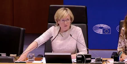 Irish MEP Mairead McGuinness shuts down heckler during heated Brexit debate