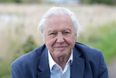 WATCH: David Attenborough tells Greta Thunberg she has “woken up the world”