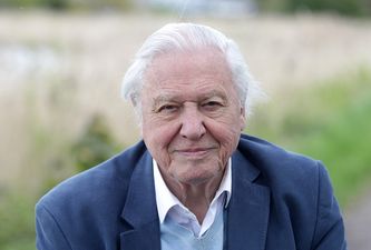 WATCH: David Attenborough tells Greta Thunberg she has “woken up the world”