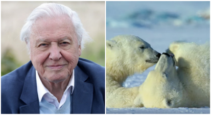 David Attenborough’s new nature documentary series on Netflix looks spectacular